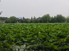 -云龙湖旅游景区