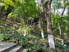 -宁波市保国寺古建筑博物馆