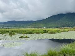 -腾冲北海湿地