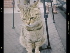 -FIGHTMAN格斗俱乐部(长宁临空店)