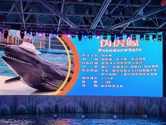 -海合安青岛极地海洋公园