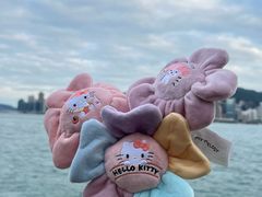 -玩具反斗城(海港城店)