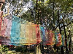 -东南花都花博园