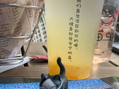 -喵屿·大理花园猫咖