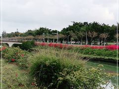 -万绿园