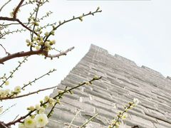 -北京明城墙遗址公园