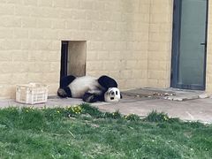 -石家庄市动物园