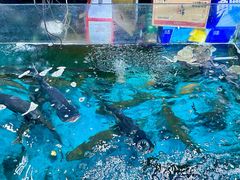 -墩上村(水印康庭店)