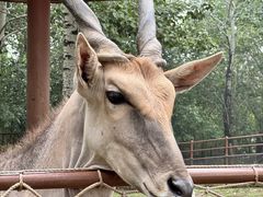 -大连森林动物园