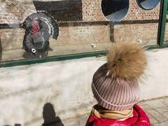 -北京鹿世界主题园