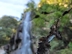 -天津盘山风景名胜区