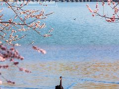 -颐和园