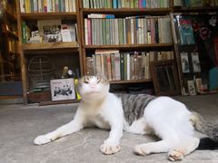 -又合书舍