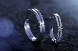 -Zbird钻石小鸟·钻戒婚戒定制高端珠宝私人定制中心