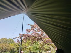 -贡湖湾湿地公园