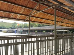 -泰安地下龙宫景区