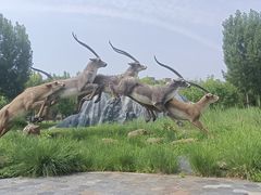 -武清南湖绿博园