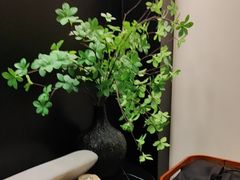 -华夏良子·足道SPA艾灸(金皇大厦店)