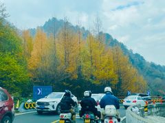 -沣峪森林公园龙潭戏水景区