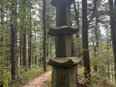 -妙道山国家森林公园
