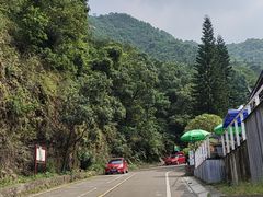 -南海湾森林生态园