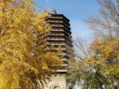 -玲珑塔公园