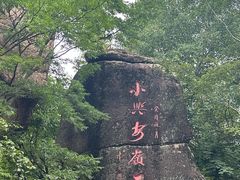 -汤旺河林海奇石景区