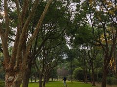 -宝界山林公园