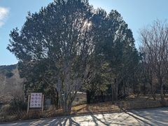 -香山公园-东宫门售票处