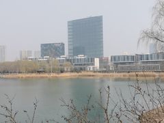 -大兴滨河森林公园