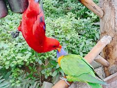 -南宫五洲植物乐园