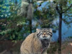 -青藏高原野生动物园