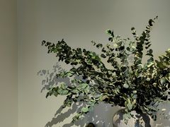 -T館·花园艺术餐厅