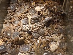 -欢乐牧场海鲜烤肉自助(牡丹园店)