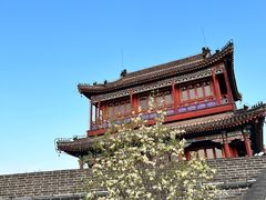 -老龙头景区