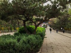 -府君山公园