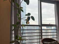 -争渡心理咨询全国连锁(福田店)