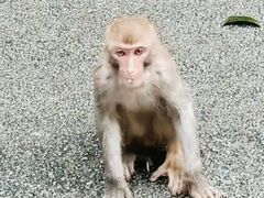 -黔灵山公园