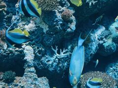 -新加坡海洋生态馆