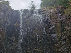 -红山村