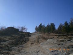 -白水寺森林公园
