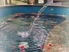 -宁海森林温泉