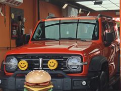 -天猫养车贴膜轻改·蓝电(优匹康桥东路店)