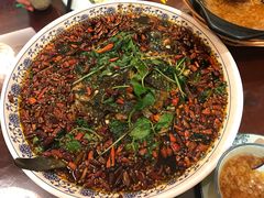 -杨记隆府(白象街店)