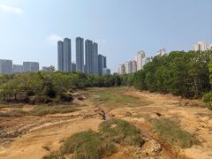 -聚龙山公园