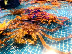 -驻海渔市(置信店)