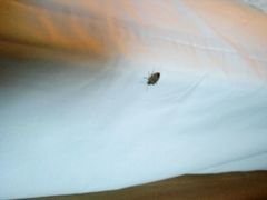 -北京宽沟会议中心