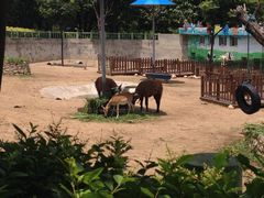 iphone_upload_pic-西安秦岭野生动物园