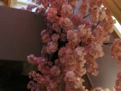 -九田家黑牛烤肉料理(中北镇店)