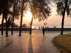 -宝安西湾红树林湿地公园